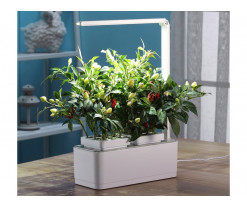 Компактный смарт-сад «iGarden LED» с подсветкой, Изображение 4