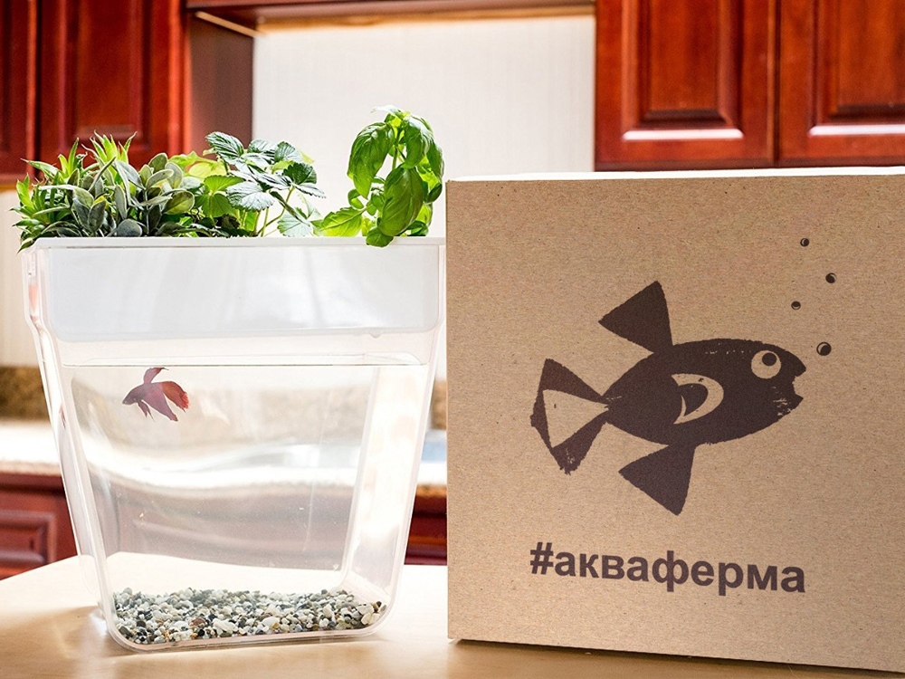 Набор для выращивания растений и ухода за рыбкой «Акваферма»_6