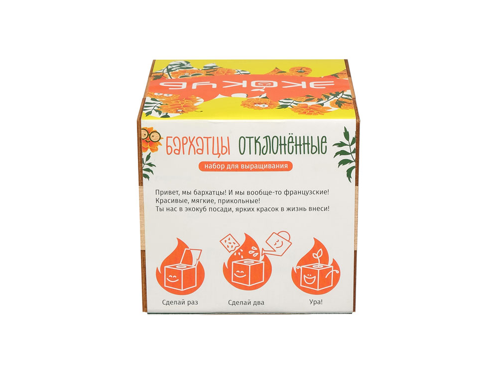 Набор для выращивания «Бархатцы»_3