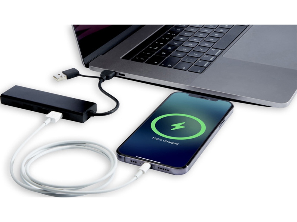 Концентратор USB 2.0 «Rise»_3