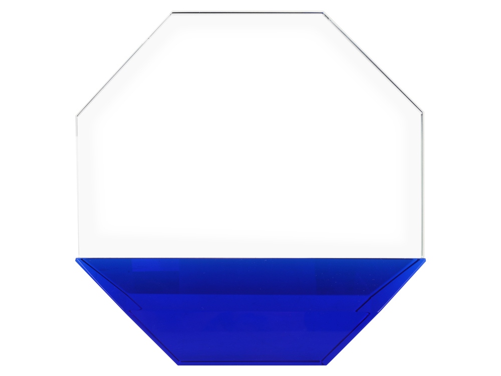 Награда «Octagon»_1