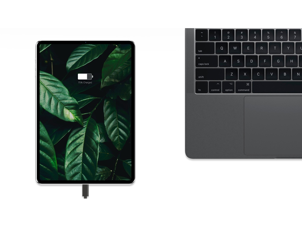Сетевое зарядное устройство «NEO Z Type-C 60»_4